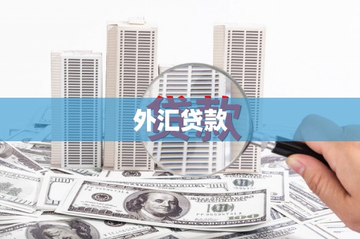 札达外汇贷款