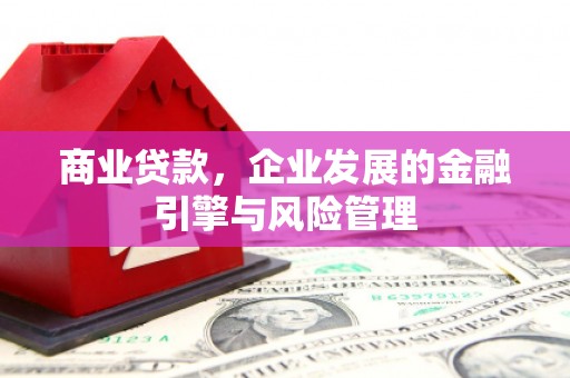 札达商业贷款，企业发展的金融引擎与风险管理