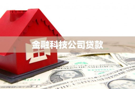 札达金融科技公司贷款