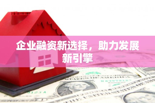 札达企业融资新选择，助力发展新引擎