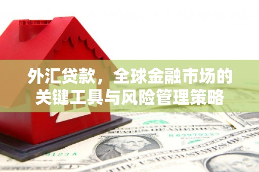 札达外汇贷款，全球金融市场的关键工具与风险管理策略
