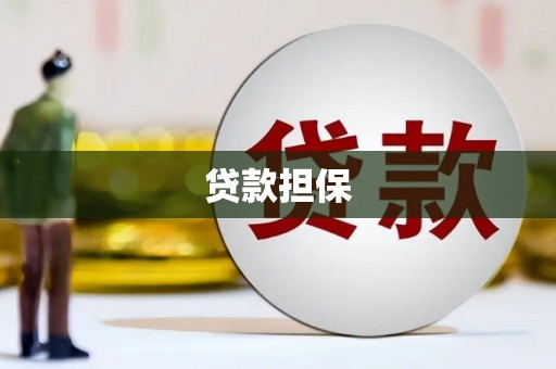 札达贷款担保