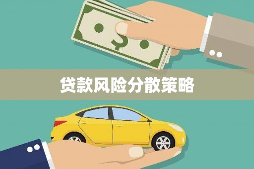 札达贷款风险分散策略