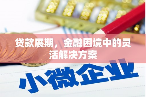 札达贷款展期，金融困境中的灵活解决方案