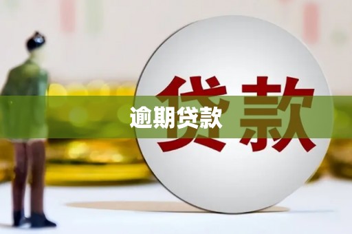 札达逾期贷款