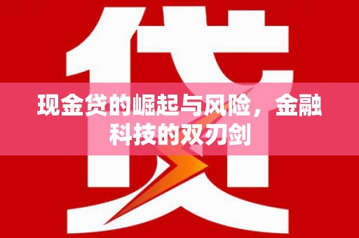 札达现金贷的崛起与风险，金融科技的双刃剑