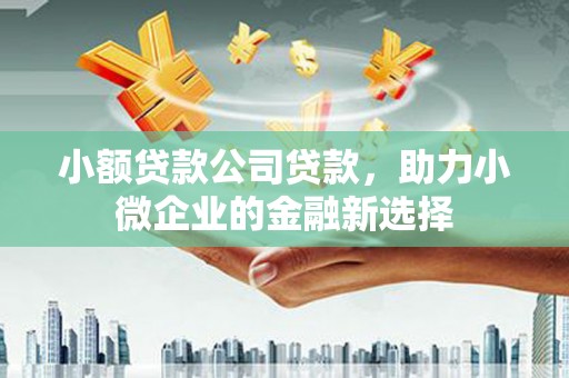札达小额贷款公司贷款，助力小微企业的金融新选择