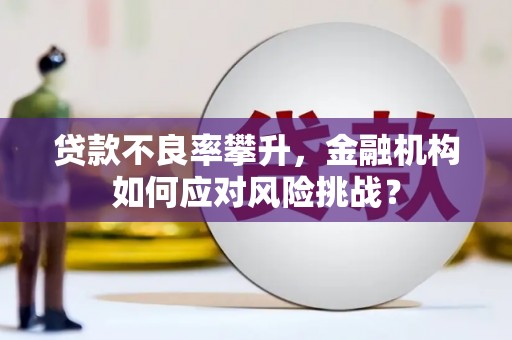 札达贷款不良率攀升，金融机构如何应对风险挑战？