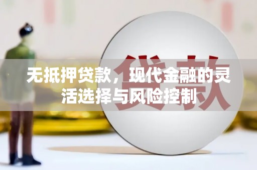 札达无抵押贷款，现代金融的灵活选择与风险控制
