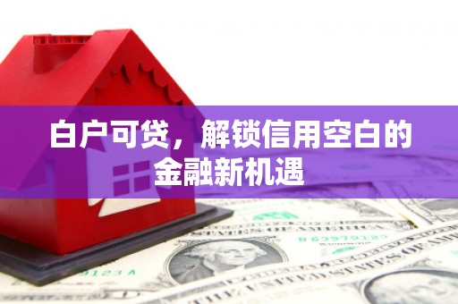 札达白户可贷，解锁信用空白的金融新机遇