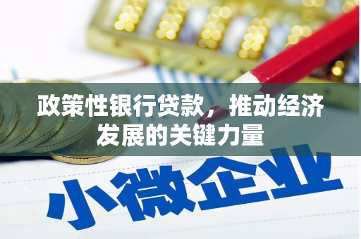 札达政策性银行贷款，推动经济发展的关键力量