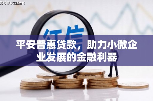 札达平安普惠贷款，助力小微企业发展的金融利器