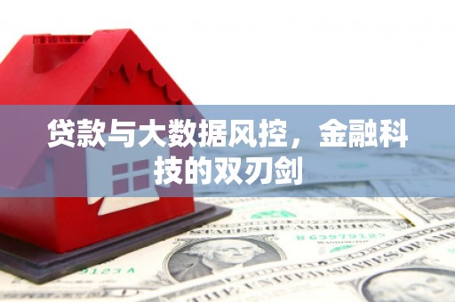 札达贷款与大数据风控，金融科技的双刃剑