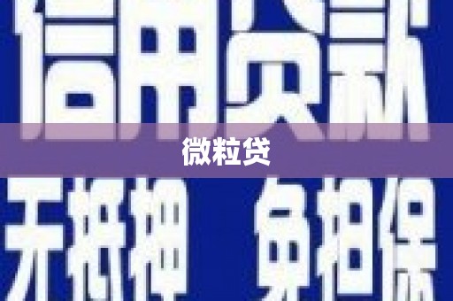札达微粒贷