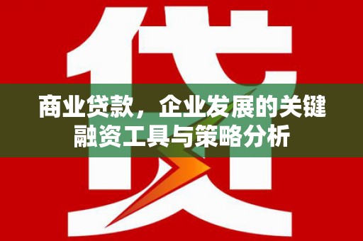 札达商业贷款，企业发展的关键融资工具与策略分析