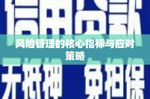 札达风险管理的核心指标与应对策略