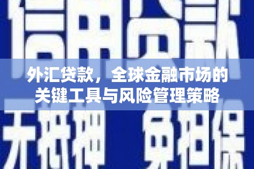 札达外汇贷款，全球金融市场的关键工具与风险管理策略