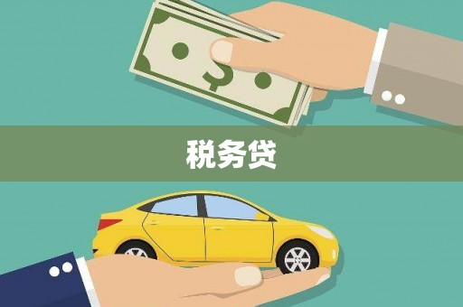 札达税务贷