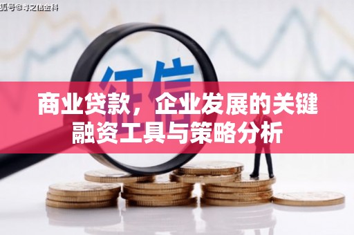 札达商业贷款，企业发展的关键融资工具与策略分析