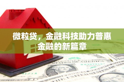札达微粒贷，金融科技助力普惠金融的新篇章