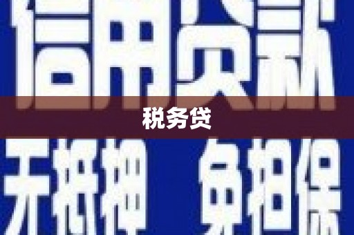 札达税务贷