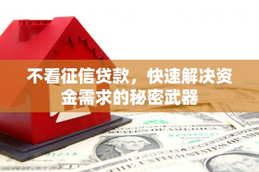 札达不看征信贷款，快速解决资金需求的秘密武器