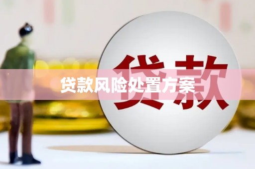 札达贷款风险处置方案
