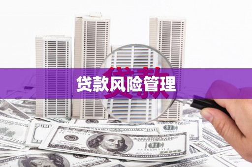 札达贷款风险管理