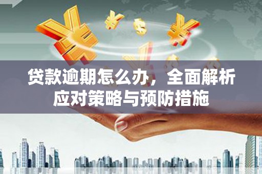 札达贷款逾期怎么办，全面解析应对策略与预防措施