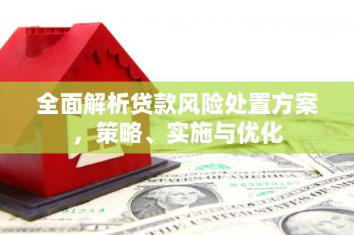 札达全面解析贷款风险处置方案，策略、实施与优化