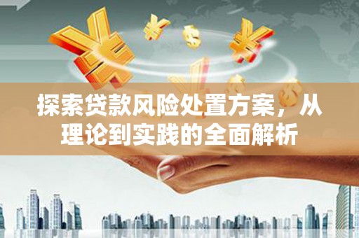 札达探索贷款风险处置方案，从理论到实践的全面解析