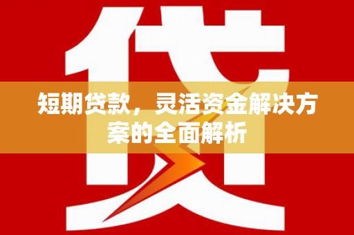 札达短期贷款，灵活资金解决方案的全面解析