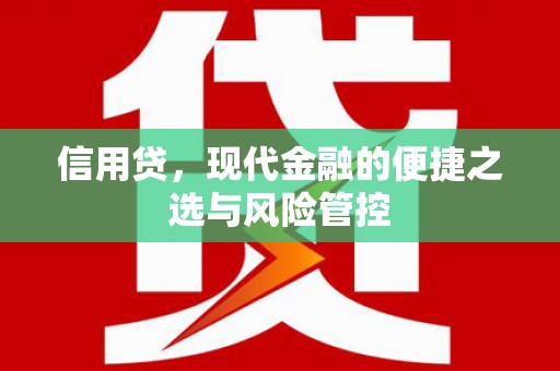 札达信用贷，现代金融的便捷之选与风险管控