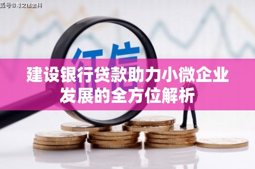 札达建设银行贷款助力小微企业发展的全方位解析