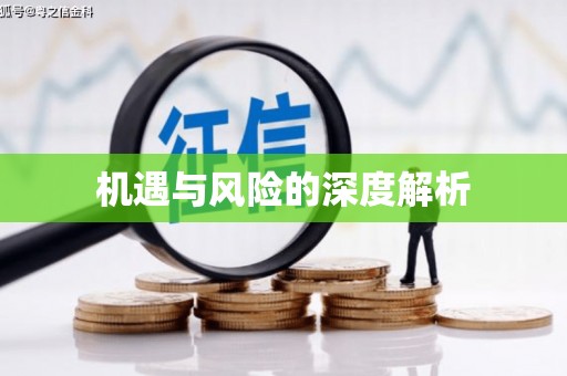 札达机遇与风险的深度解析