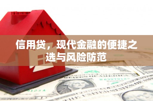 札达信用贷，现代金融的便捷之选与风险防范