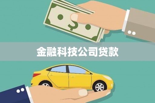 札达金融科技公司贷款