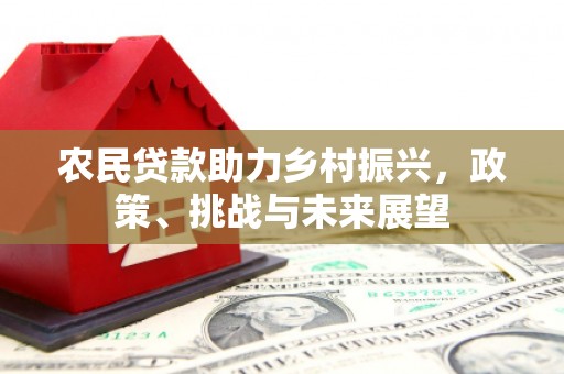 札达农民贷款助力乡村振兴，政策、挑战与未来展望