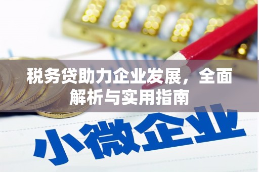 札达税务贷助力企业发展，全面解析与实用指南