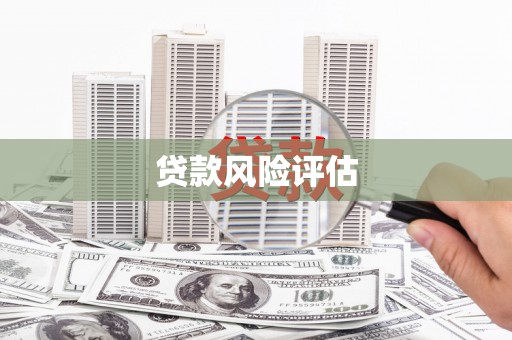札达贷款风险评估