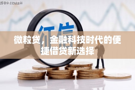 札达微粒贷，金融科技时代的便捷借贷新选择