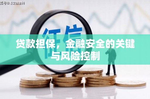 札达贷款担保，金融安全的关键与风险控制