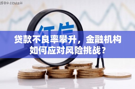 札达贷款不良率攀升，金融机构如何应对风险挑战？