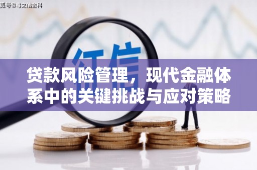 札达贷款风险管理，现代金融体系中的关键挑战与应对策略