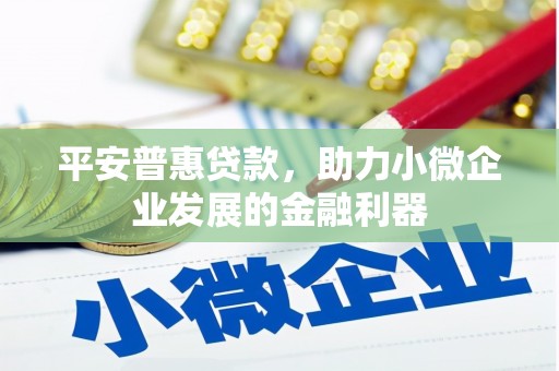 札达平安普惠贷款，助力小微企业发展的金融利器