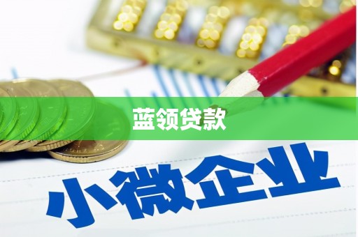札达蓝领贷款