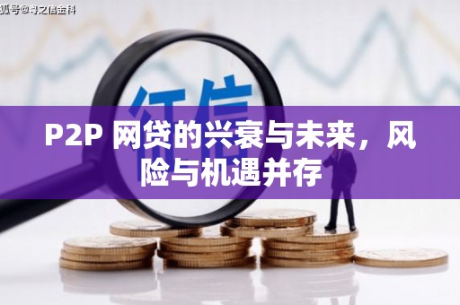 札达P2P 网贷的兴衰与未来，风险与机遇并存
