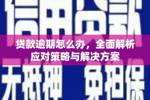 札达贷款逾期怎么办，全面解析应对策略与解决方案